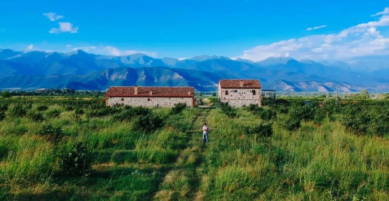 Mestvireni Telavi Exteriör bild