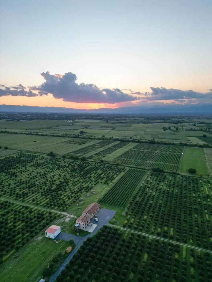 Mestvireni Telavi Exteriör bild