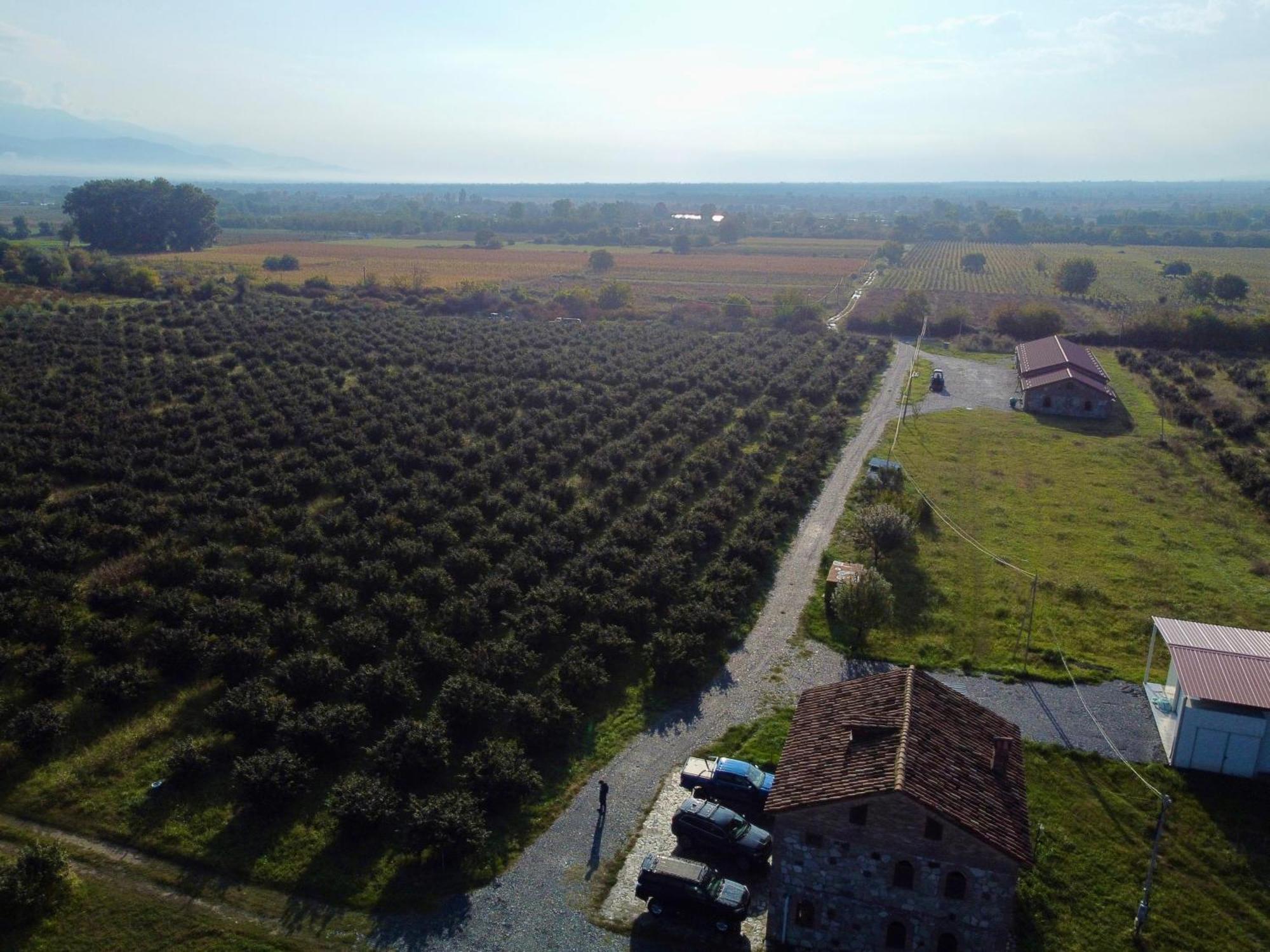 Mestvireni Telavi Exteriör bild