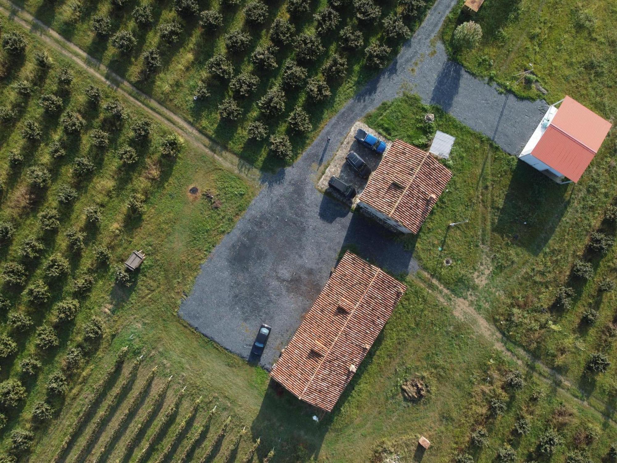 Mestvireni Telavi Exteriör bild