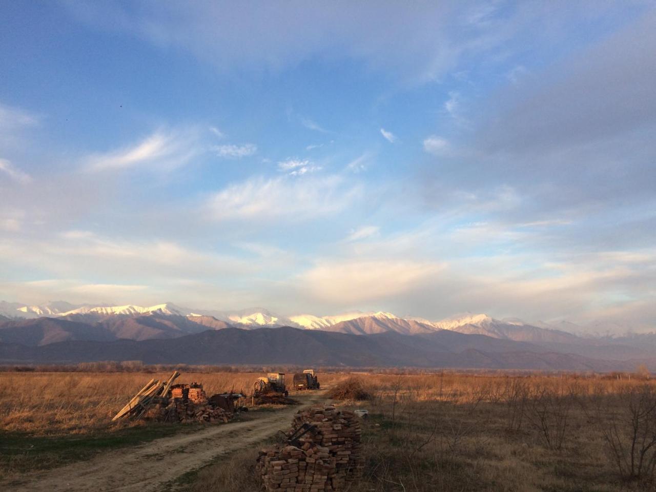Mestvireni Telavi Exteriör bild