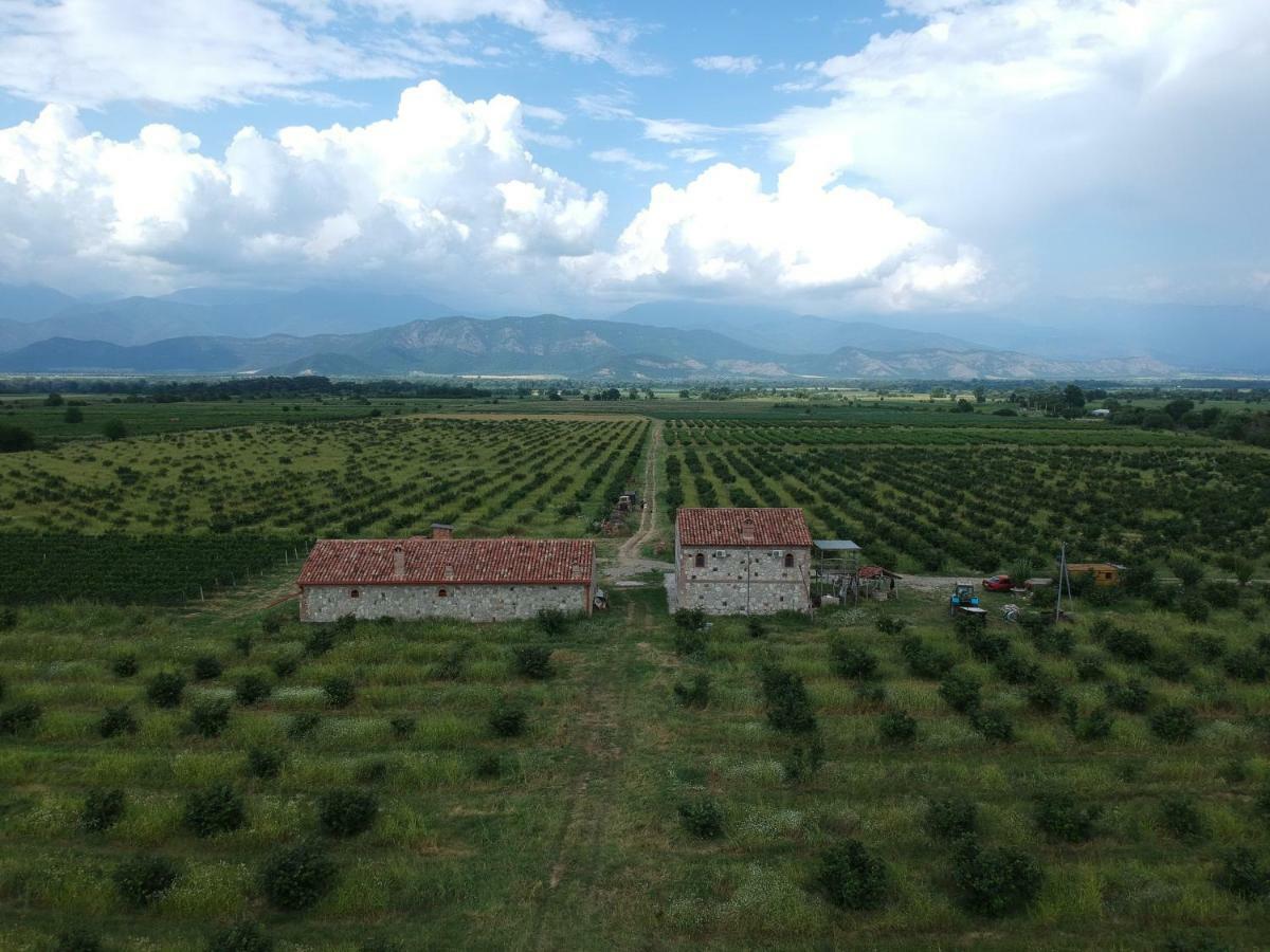 Mestvireni Telavi Exteriör bild